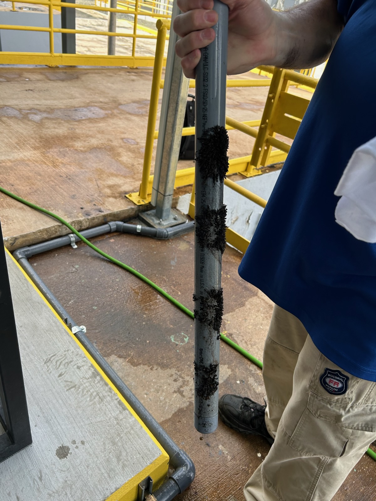 PVC pipe section pulled from a tower loop covered in biological growth