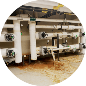 Steam PRV